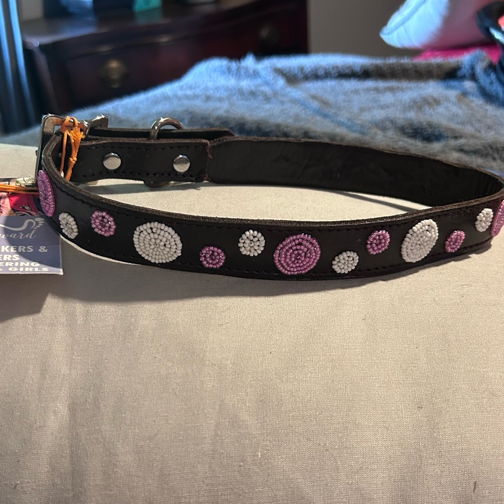 Foot forward NEW Dog Collar 18”-24”